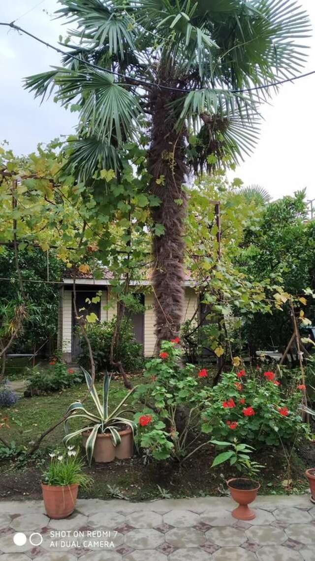 Гостевой дом V gostyah u Emmy Guesthouse Гагра-4